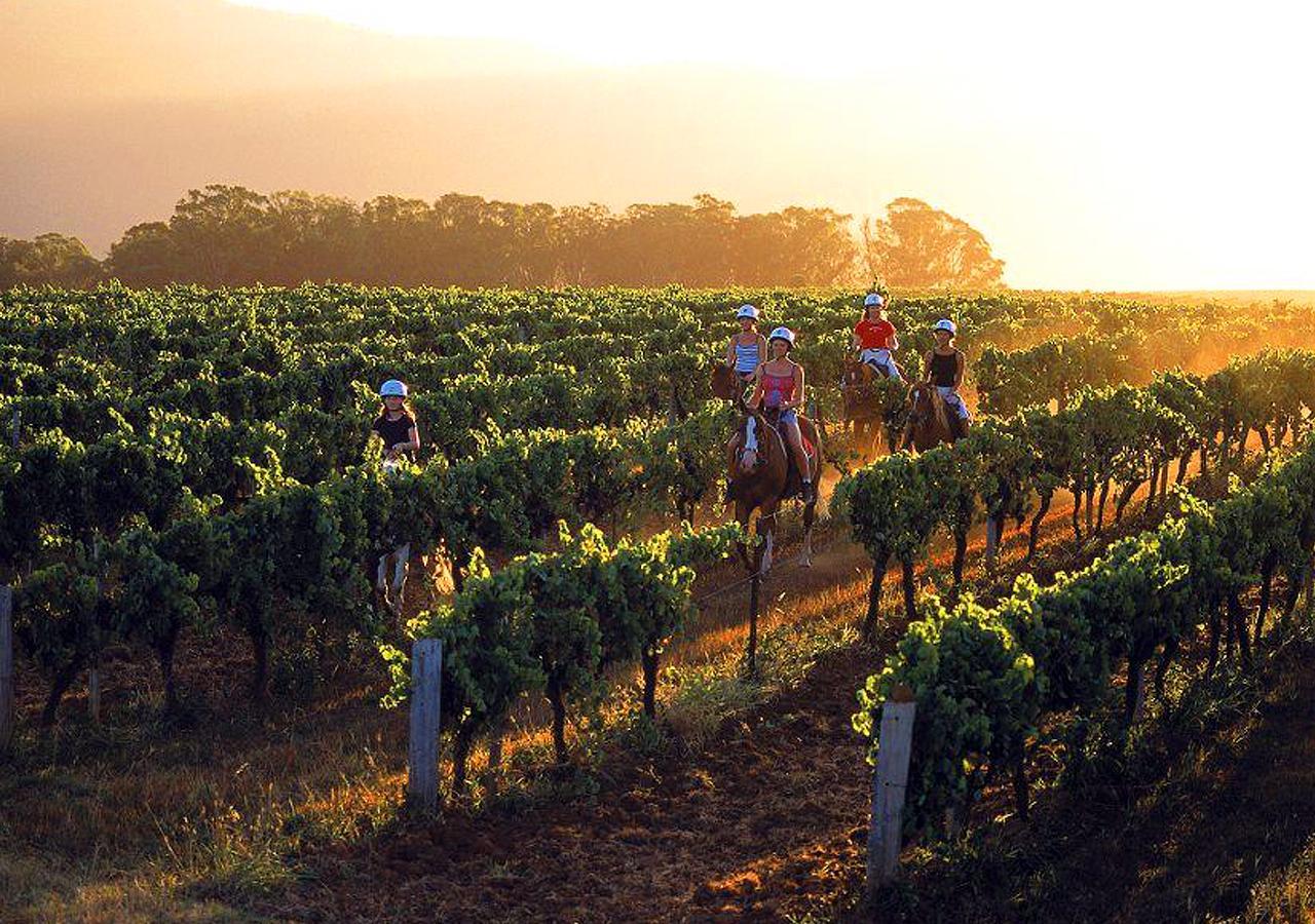 An Ideal Wine Country Getaway Villa Cessnock Eksteriør billede